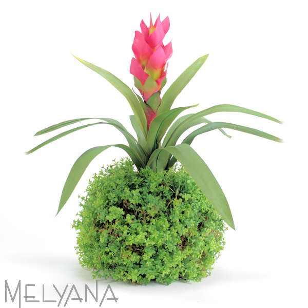 ARRANJO BROMELIA(SEM TROCA/DEVOLUCAO)