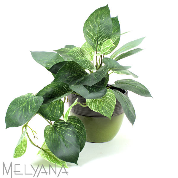 ARRANJO CALATHEA EXTRA