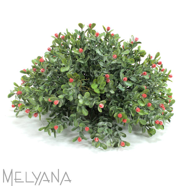 ARRANJO MEIA BOLA BOXWOOD 23