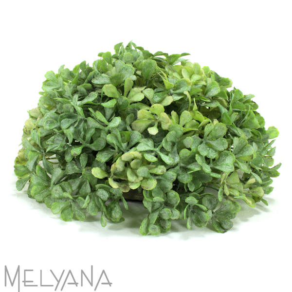 ARRANJO MEIA BOLA BOXWOOD GD