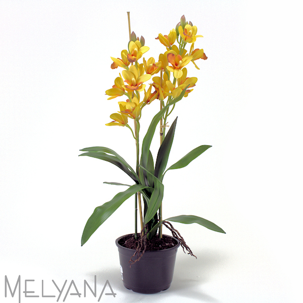 ARRANJO ORQUIDEA CIMBIDIUM X2 SEM VASO