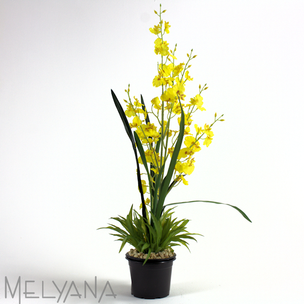 ARRANJO ORQUIDEA ONCIDIUM X2 SEM VASO