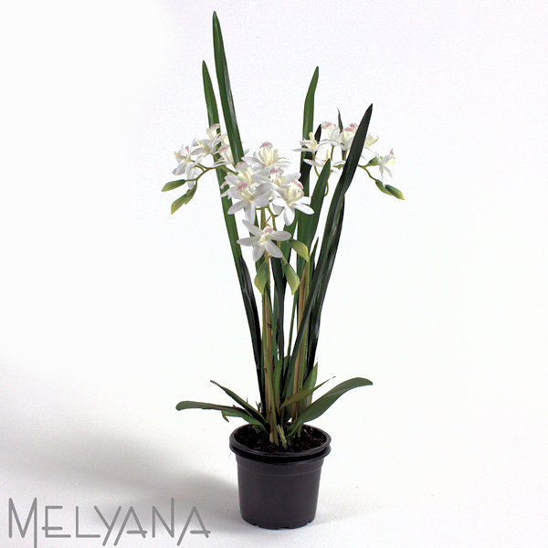 ARRANJO ORQUIDEA ONCIDIUM X3 SEM VASO