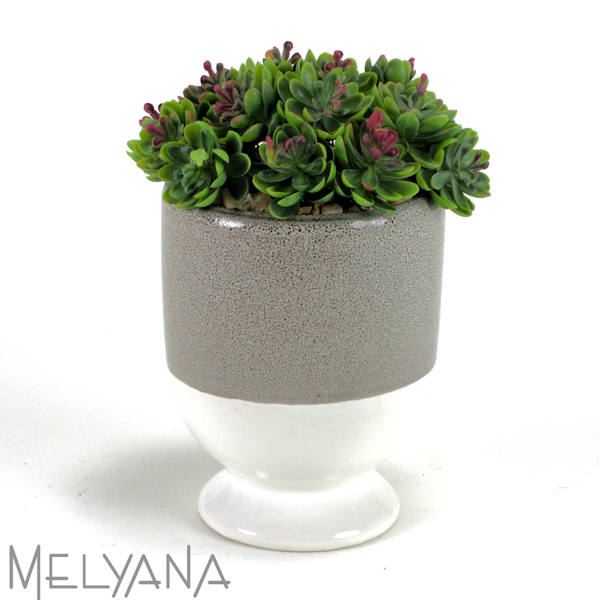 ARRANJO SEDUM