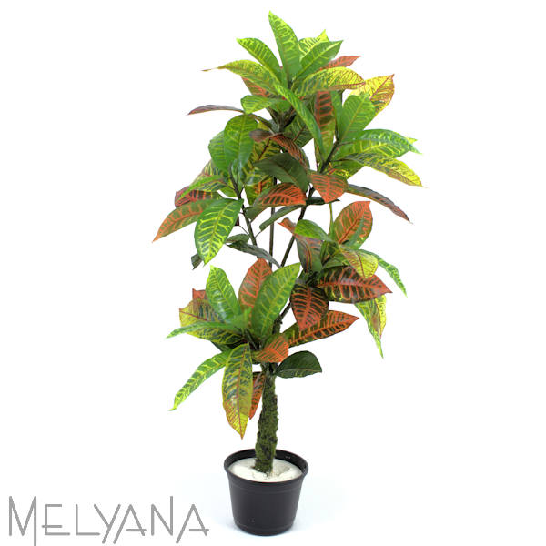 ARVORE CROTON MIX