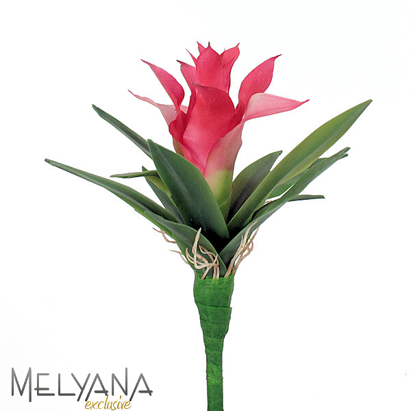 BROMELIA MINI