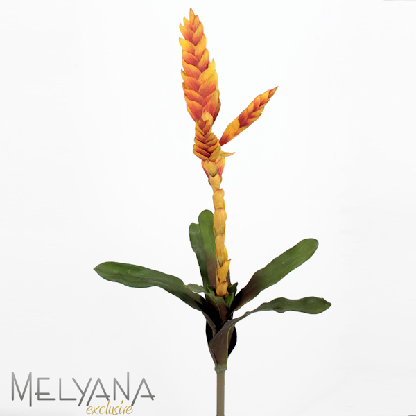 BROMELIA SPRAY 11457