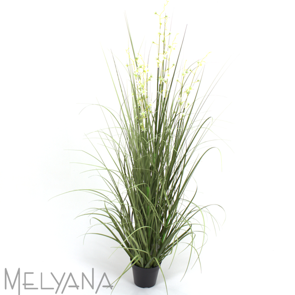 CAPIM COM FLORZINHAS