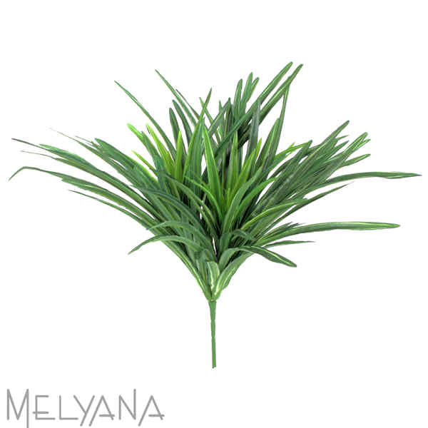 DRACENA BUSH 102 FOLHAS VD