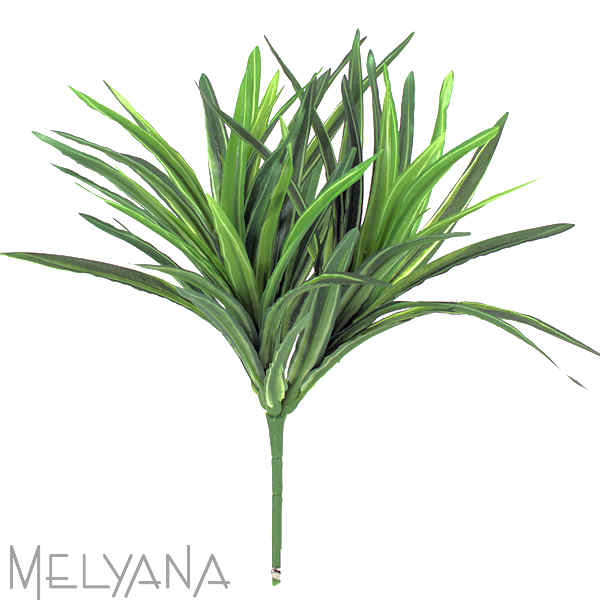 DRACENA BUSH 54 FOLHAS VD