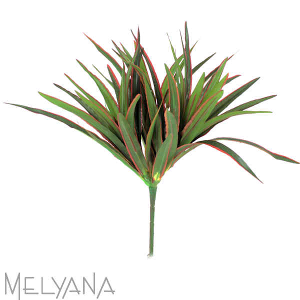 DRACENA BUSH 54 FOLHAS VM