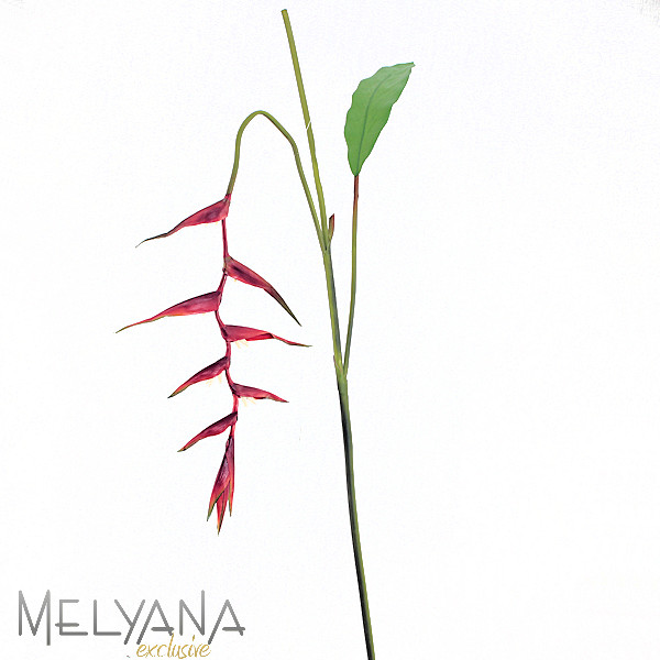 HELICONIA PENDENTE COM FOLHA