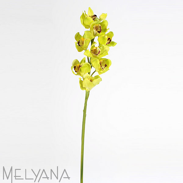 ORQUIDEA CIMBIDIUM 8 FLORES