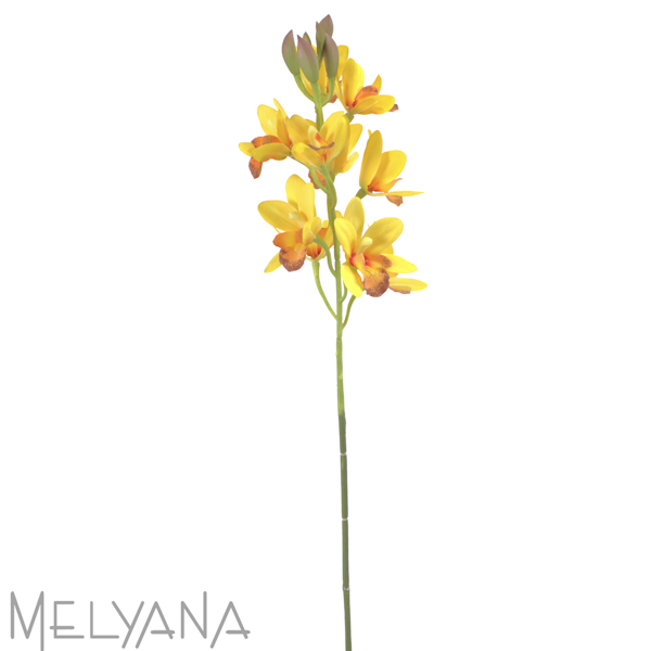 ORQUIDEA CIMBIDIUM