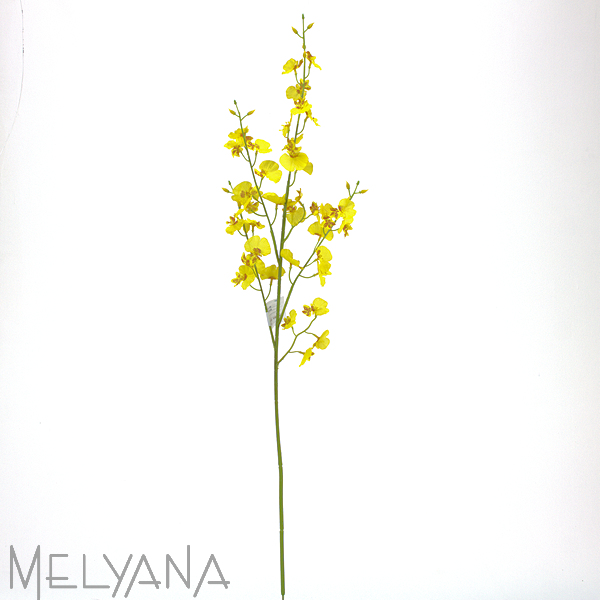 ORQUIDEA ONCIDIUM