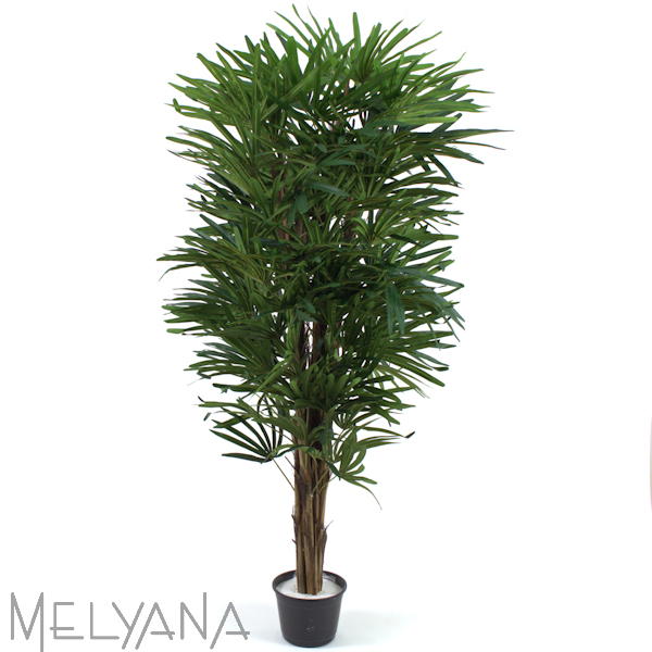 PALMEIRA RAFIA 150CM S/VASO