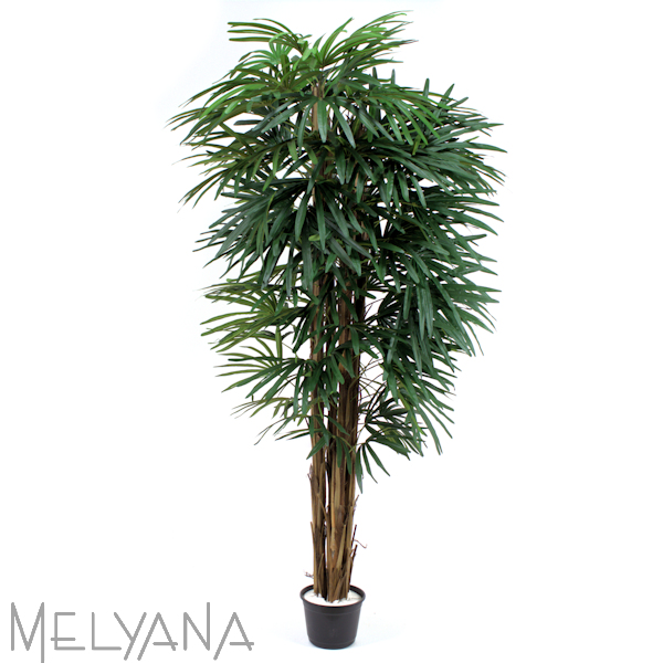 PALMEIRA RAFIA 180CM S/VASO