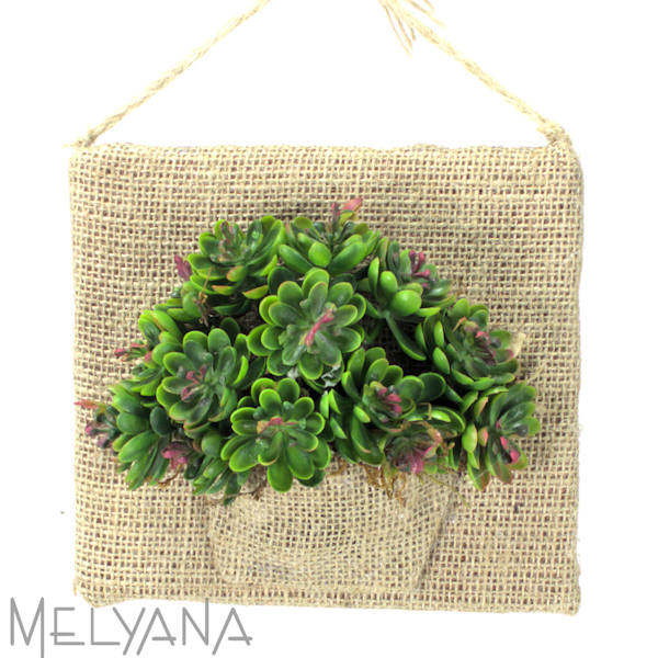 QUADRO SEDUM