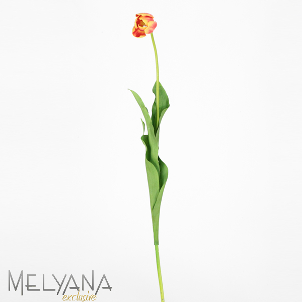 TULIPA 47CM