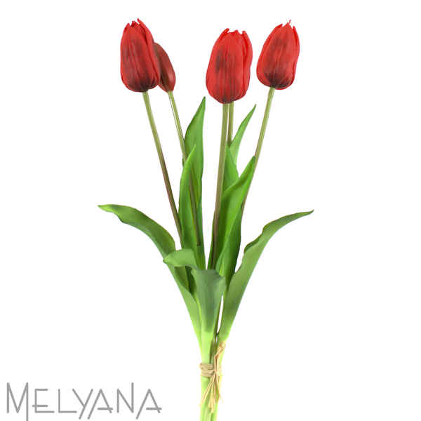 TULIPA X5 VM